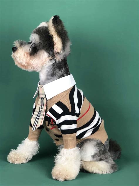 luxury dog clothes and accessories.